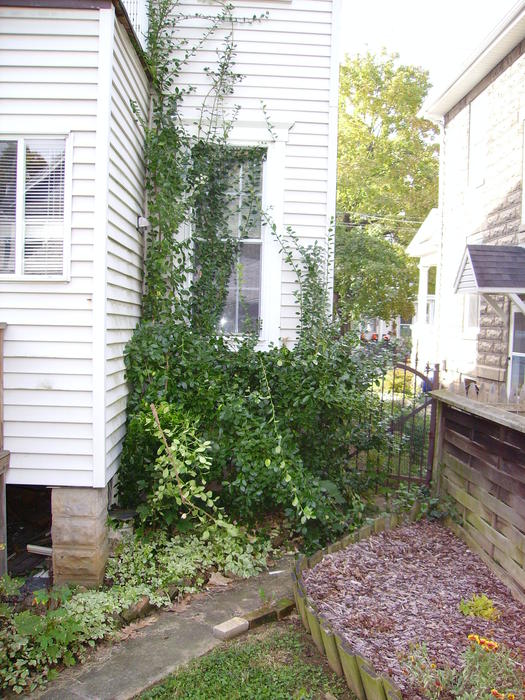 BEFORE: Kitchen Window
