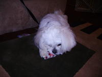 PICT0390.jpg