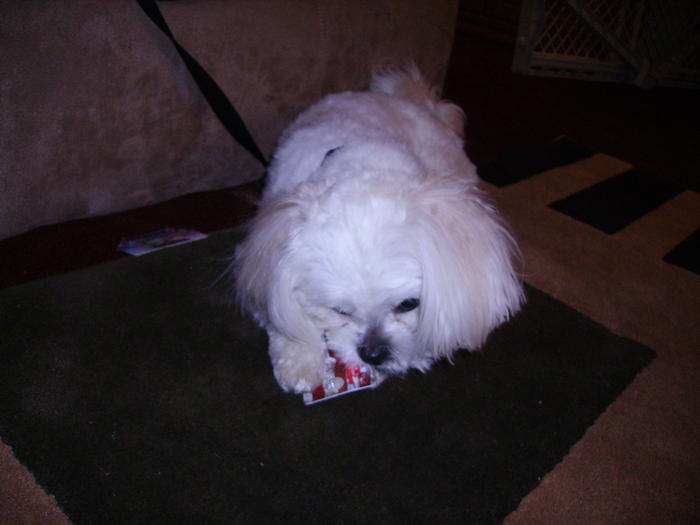 PICT0390.jpg