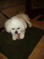 PICT0391.jpg