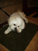 PICT0392.jpg