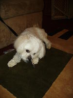 PICT0393.jpg