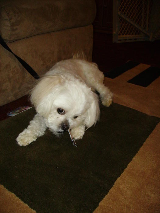 PICT0393.jpg