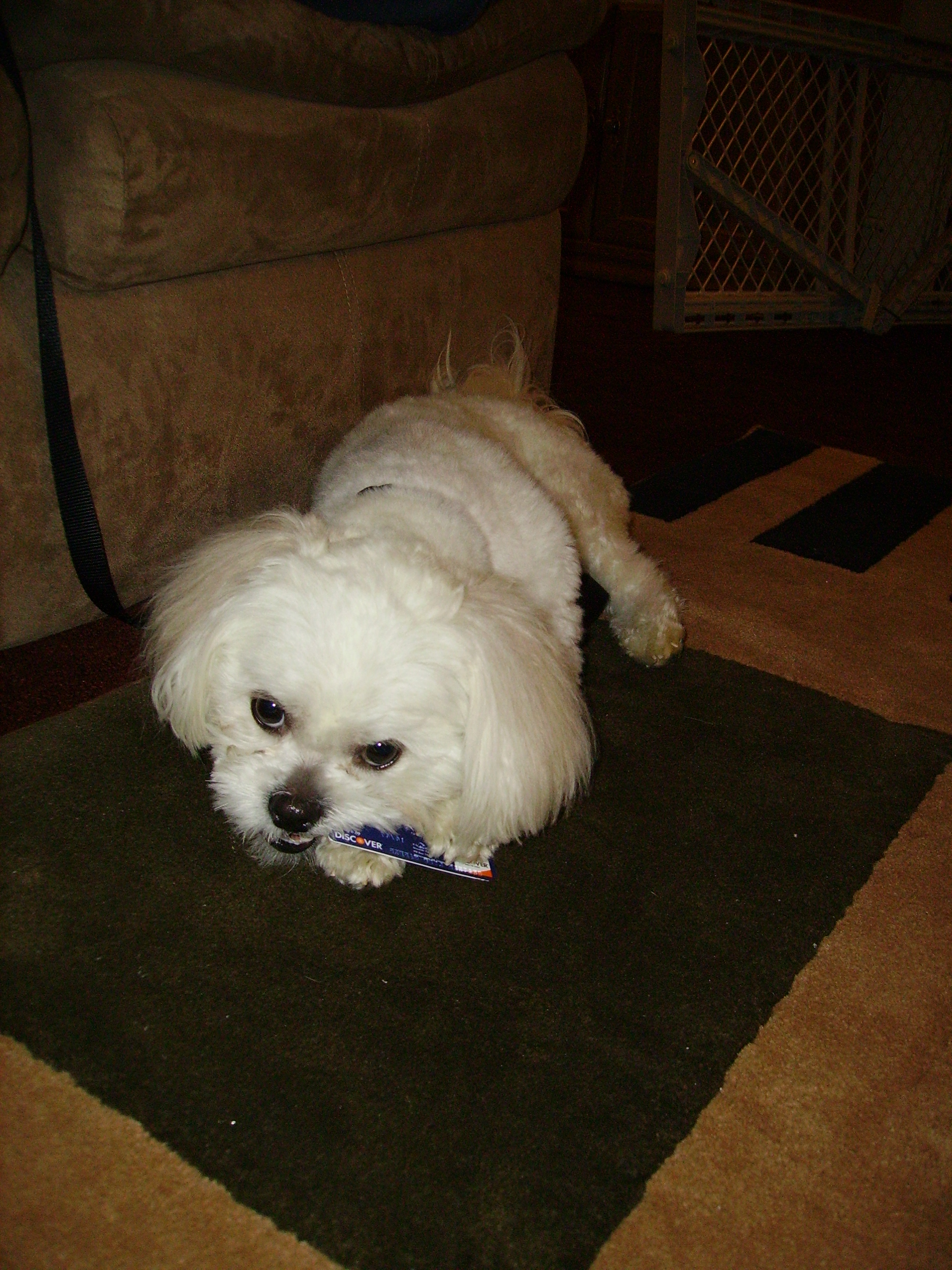 PICT0395.jpg