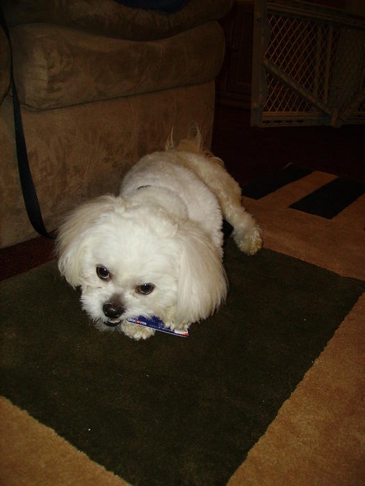 PICT0395.jpg