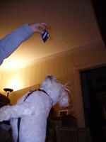 PICT0396.jpg