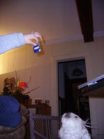PICT0397.jpg