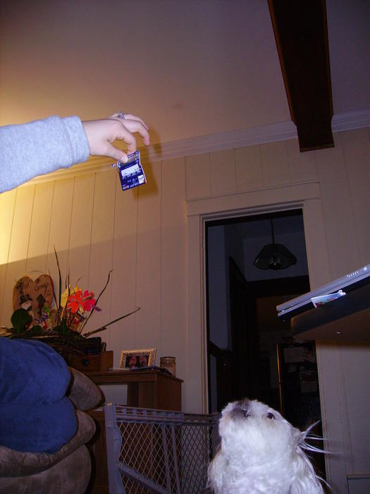 PICT0397.jpg