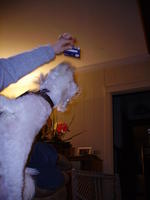 PICT0398.jpg