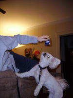 PICT0399.jpg