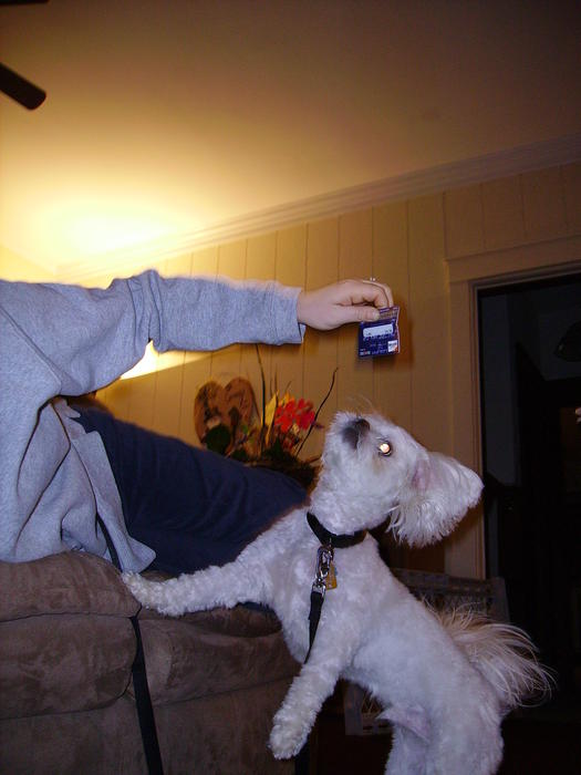 PICT0399.jpg