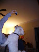 PICT0400.jpg