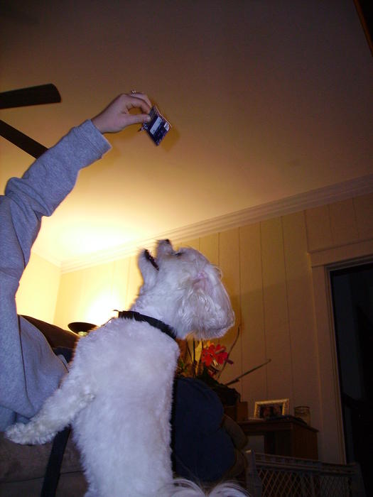 PICT0400.jpg