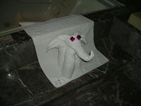 The elephant towels.