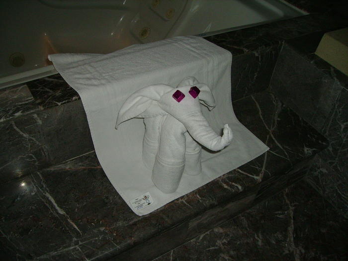 The elephant towels.