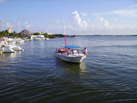 A passing parasail boat.