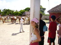 Heather at the ranch.