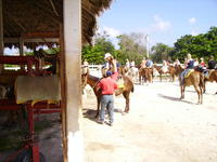 PICT0083.jpg
