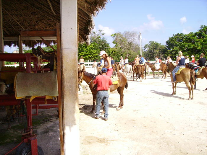 PICT0083.jpg