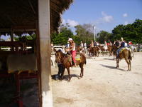 Heather on her horse.