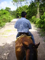 Our cowboy (and the head of Mike's horse).