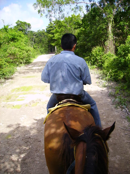 Our cowboy (and the head of Mike's horse).