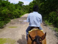 PICT0087.jpg