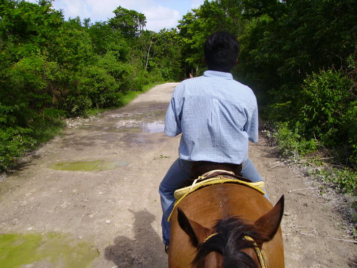 PICT0087.jpg