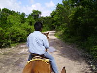 PICT0088.jpg