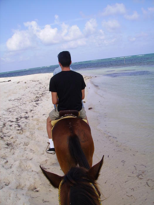 Mike's horse was Mr. T (you can see him at the bottom).