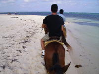 PICT0090.jpg
