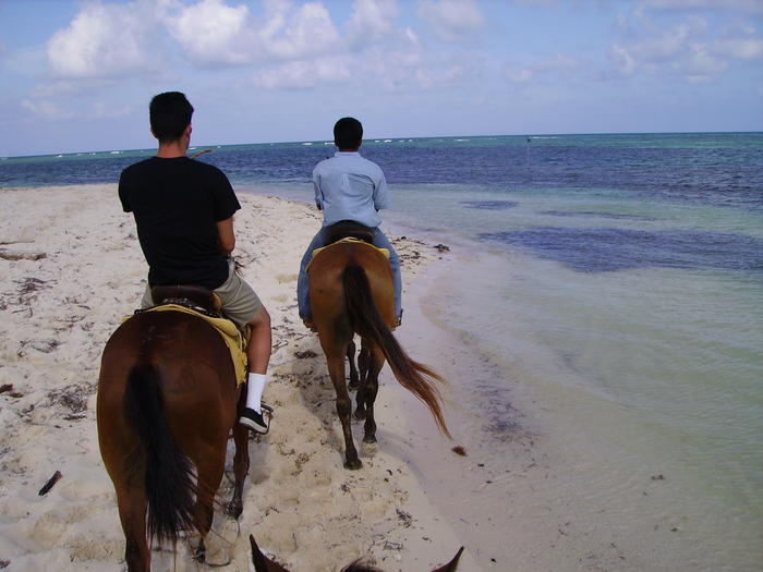 Horseback riding near the ocean.