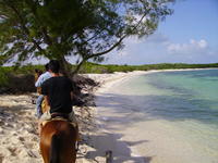 PICT0092.jpg