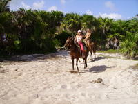 PICT0093.jpg