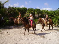PICT0094.jpg