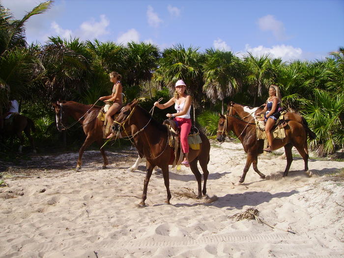 PICT0094.jpg