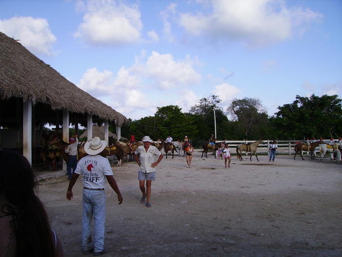 PICT0096.jpg