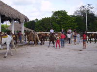 PICT0098.jpg