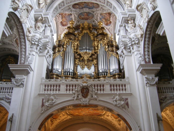 DSCF1665.jpg