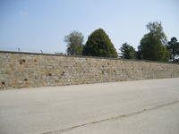 DSCF1754.jpg