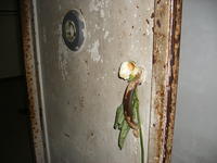 DSCF1758.jpg