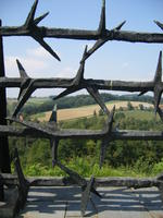 DSCF1770.jpg