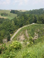 DSCF1771.jpg
