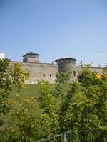 DSCF1777.jpg