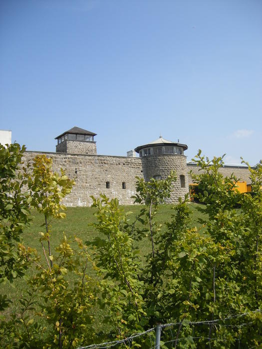 DSCF1777.jpg