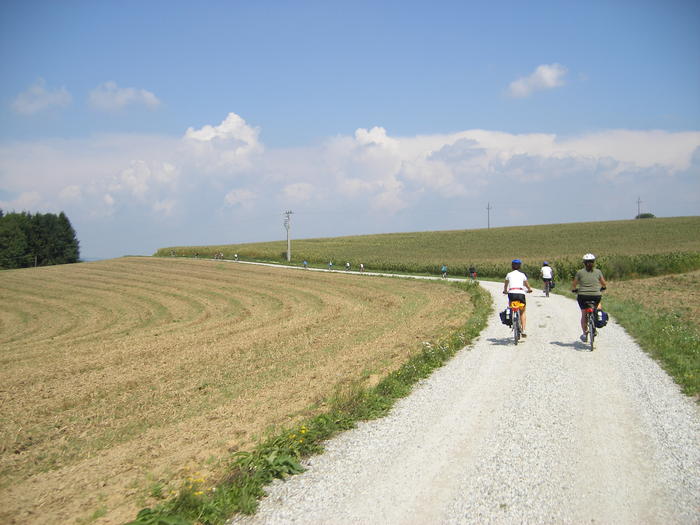DSCF1781.jpg