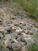DSCF1796.jpg