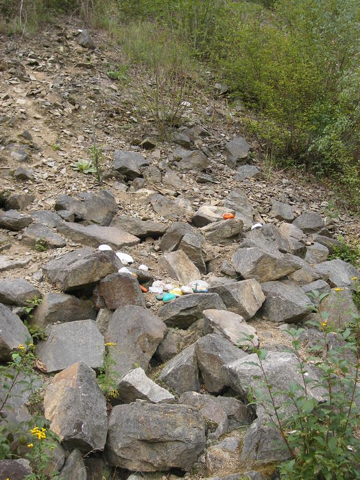 DSCF1796.jpg