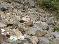 DSCF1797.jpg