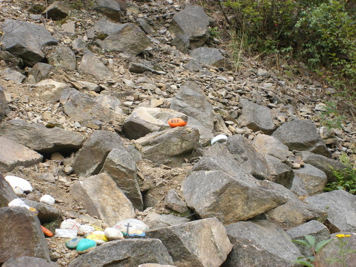 DSCF1797.jpg